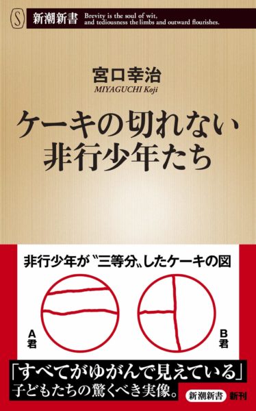 ベストセラー新書 ケーキの切れない非行少年たち の概要をまとめてみた 佳琳が頑張るブログ