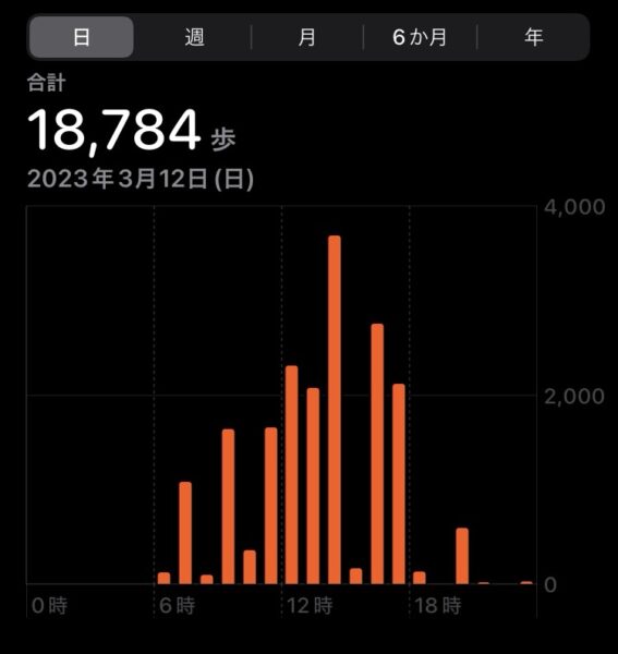 京都ポケふた巡り旅の歩数データ