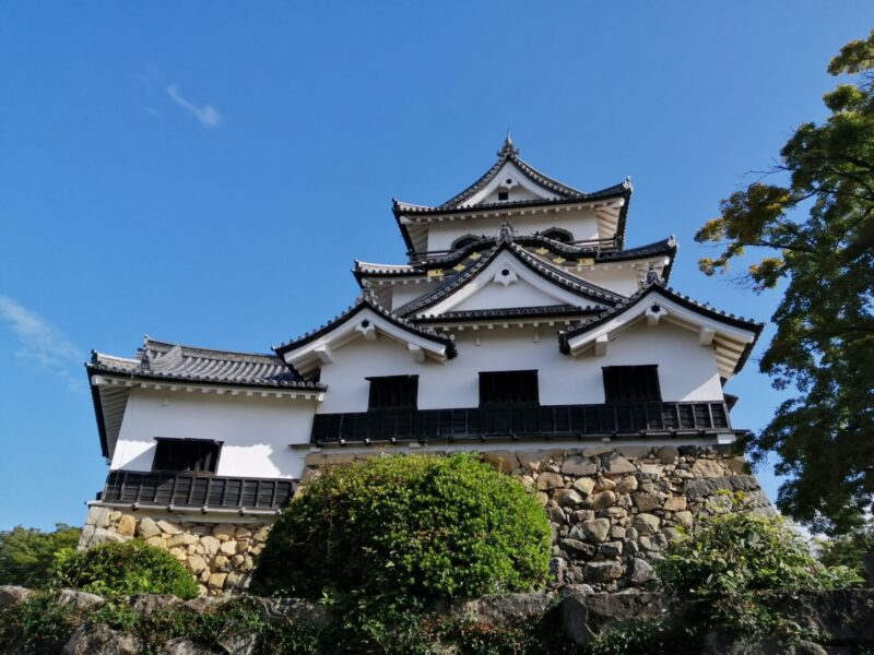 石段から見上げる彦根城天守