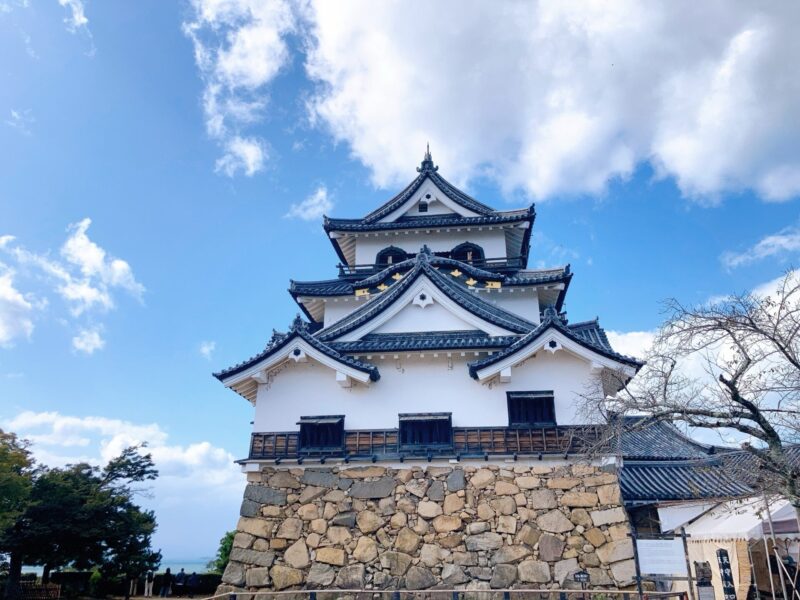 彦根城天守と琵琶湖の水平線