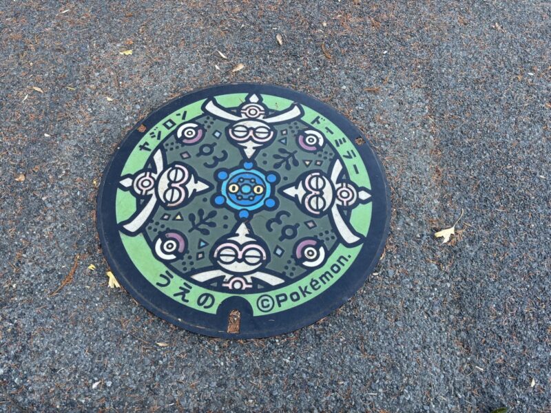 トーハクのポケふた(近景)